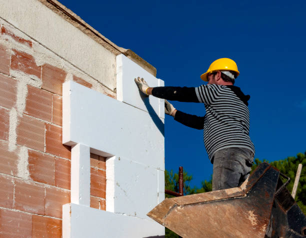 Best Wall Insulation Contractor  in Hanna City, IL