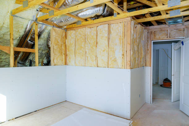 Best Residential Insulation Services  in Hanna City, IL