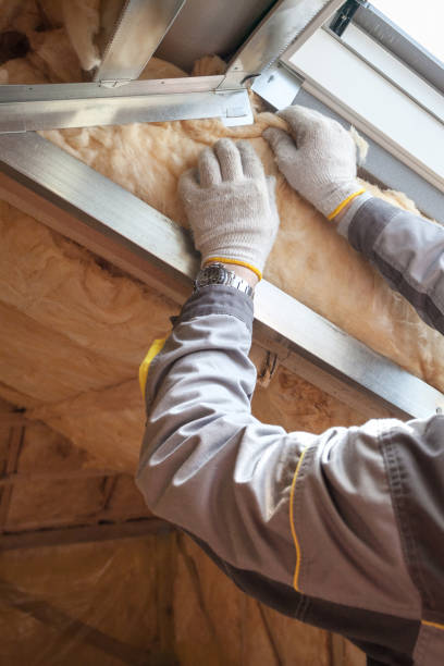 Best Best Insulation Companies  in Hanna City, IL
