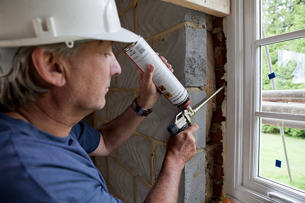 Best Professional Insulation Contractor  in Hanna City, IL