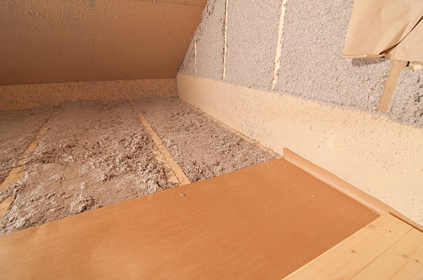 Best Insulation Inspection Services  in Hanna City, IL