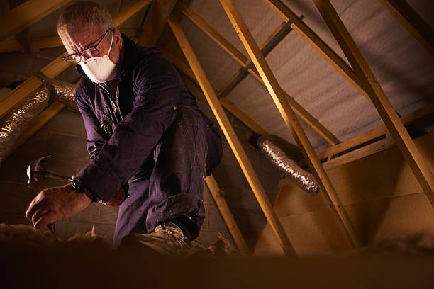 Attic Insulation Near Me in Hanna City, IL